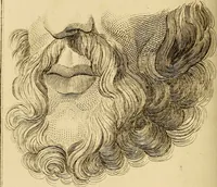 An illustration from Essays on physiognomy; calculated to extend the knowledge and the love of mankind (1797)