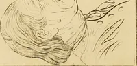 Picture 32 of 77 from Essays on physiognomy; calculated to extend the knowledge and the love of mankind (1797), leaf 241