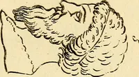 Picture 36 of 77 from Essays on physiognomy; calculated to extend the knowledge and the love of mankind (1797), leaf 270
