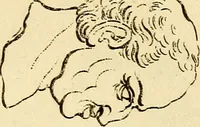 Picture 37 of 77 from Essays on physiognomy; calculated to extend the knowledge and the love of mankind (1797), leaf 270