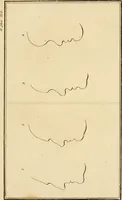 Picture 59 of 77 from Essays on physiognomy; calculated to extend the knowledge and the love of mankind (1797), leaf 325