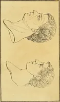 Picture 65 of 77 from Essays on physiognomy; calculated to extend the knowledge and the love of mankind (1797), leaf 338