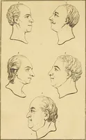 Picture 6 of 77 from Essays on physiognomy; calculated to extend the knowledge and the love of mankind (1797), leaf 95