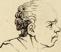 An illustration from Essays on physiognomy; calculated to extend the knowledge and the love of mankind (1797)