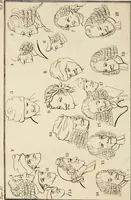 An illustration from Essays on physiognomy; calculated to extend the knowledge and the love of mankind (1797)