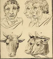 An illustration from Essays on physiognomy; calculated to extend the knowledge and the love of mankind (1797)
