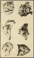 An illustration from Essays on physiognomy; calculated to extend the knowledge and the love of mankind (1797)