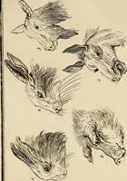 An illustration from Essays on physiognomy; calculated to extend the knowledge and the love of mankind (1797)