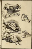 Picture 84 of 103 from Essays on physiognomy; calculated to extend the knowledge and the love of mankind (1797), leaf 245