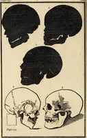 An illustration from Essays on physiognomy; calculated to extend the knowledge and the love of mankind (1797)