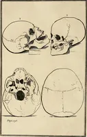 An illustration from Essays on physiognomy; calculated to extend the knowledge and the love of mankind (1797)