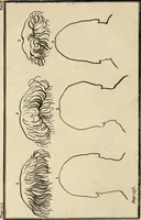 An illustration from Essays on physiognomy; calculated to extend the knowledge and the love of mankind (1797)