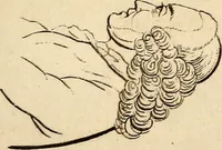 An illustration from Essays on physiognomy; calculated to extend the knowledge and the love of mankind (1797)