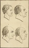 An illustration from Essays on physiognomy; calculated to extend the knowledge and the love of mankind (1797)