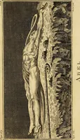 Picture 30 of 80 from Essays on physiognomy; calculated to extend the knowledge and the love of mankind (1797), leaf 135