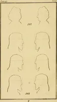 Picture 6 of 80 from Essays on physiognomy; calculated to extend the knowledge and the love of mankind (1797), leaf 23