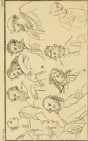 An illustration from Essays on physiognomy; calculated to extend the knowledge and the love of mankind (1797)