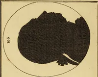 Picture 7 of 80 from Essays on physiognomy; calculated to extend the knowledge and the love of mankind (1797), leaf 27