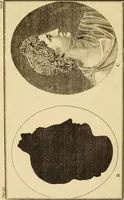 Picture 75 of 80 from Essays on physiognomy; calculated to extend the knowledge and the love of mankind (1797), leaf 275
