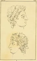An illustration from Essays on physiognomy; calculated to extend the knowledge and the love of mankind (1797)