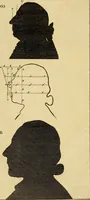 Picture 11 of 80 from Essays on physiognomy; calculated to extend the knowledge and the love of mankind (1797), leaf 41