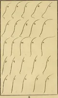 Picture 13 of 80 from Essays on physiognomy; calculated to extend the knowledge and the love of mankind (1797), leaf 59