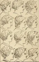 An illustration from Essays on physiognomy; calculated to extend the knowledge and the love of mankind (1797)