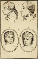 An illustration from Essays on physiognomy; calculated to extend the knowledge and the love of mankind (1797)