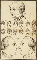 An illustration from Essays on physiognomy; calculated to extend the knowledge and the love of mankind (1797)