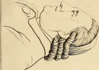 An illustration from Essays on physiognomy; calculated to extend the knowledge and the love of mankind (1797)