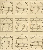 An illustration from Essays on physiognomy; calculated to extend the knowledge and the love of mankind (1797)