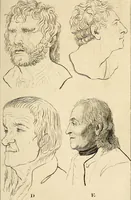 An illustration from Essays on physiognomy; calculated to extend the knowledge and the love of mankind (1797)