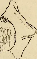 An illustration from Essays on physiognomy; calculated to extend the knowledge and the love of mankind (1797)