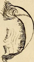 An illustration from Essays on physiognomy; calculated to extend the knowledge and the love of mankind (1797)