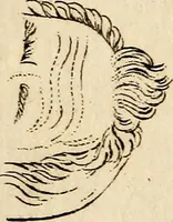 An illustration from Essays on physiognomy; calculated to extend the knowledge and the love of mankind (1797)