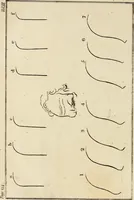 An illustration from Essays on physiognomy; calculated to extend the knowledge and the love of mankind (1797)