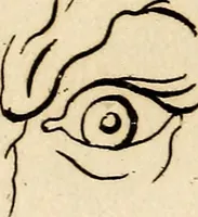 An illustration from Essays on physiognomy; calculated to extend the knowledge and the love of mankind (1797)