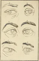 An illustration from Essays on physiognomy; calculated to extend the knowledge and the love of mankind (1797)