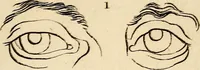 An illustration from Essays on physiognomy; calculated to extend the knowledge and the love of mankind (1797)