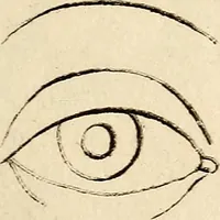 An illustration from Essays on physiognomy; calculated to extend the knowledge and the love of mankind (1797)