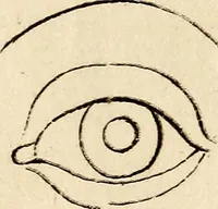 An illustration from Essays on physiognomy; calculated to extend the knowledge and the love of mankind (1797)