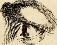 An illustration from Essays on physiognomy; calculated to extend the knowledge and the love of mankind (1797)