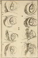 An illustration from Essays on physiognomy; calculated to extend the knowledge and the love of mankind (1797)
