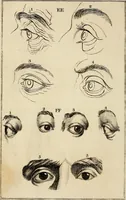 An illustration from Essays on physiognomy; calculated to extend the knowledge and the love of mankind (1797)