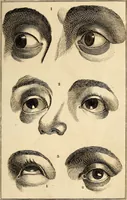 An illustration from Essays on physiognomy; calculated to extend the knowledge and the love of mankind (1797)