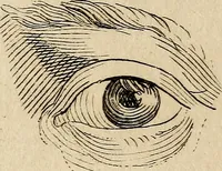 An illustration from Essays on physiognomy; calculated to extend the knowledge and the love of mankind (1797)