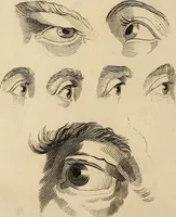 An illustration from Essays on physiognomy; calculated to extend the knowledge and the love of mankind (1797)