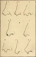 An illustration from Essays on physiognomy; calculated to extend the knowledge and the love of mankind (1797)