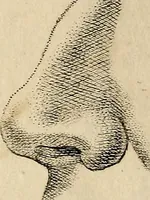An illustration from Essays on physiognomy; calculated to extend the knowledge and the love of mankind (1797)