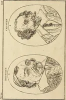 Picture 92 of 114 from Essays on physiognomy; calculated to extend the knowledge and the love of mankind (1797), leaf 451